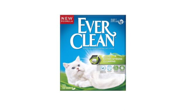 Ever Clean Extra Strong scented