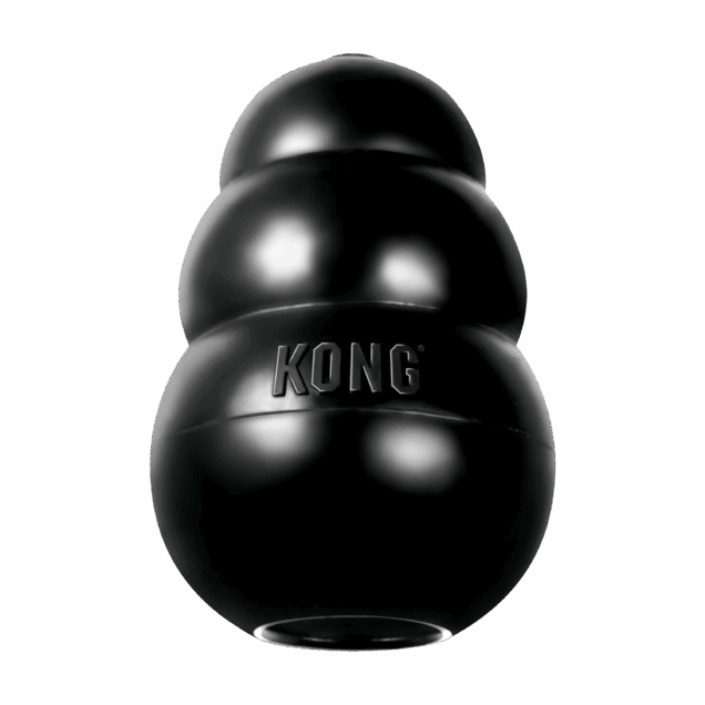 Kong extreme igračka za pse