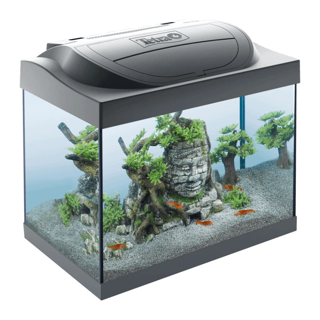 Tetra Starter Line LED Akvarij za Rakove 30L Tetra Starter Line LED Akvarij za Rakove 30L - Image 1