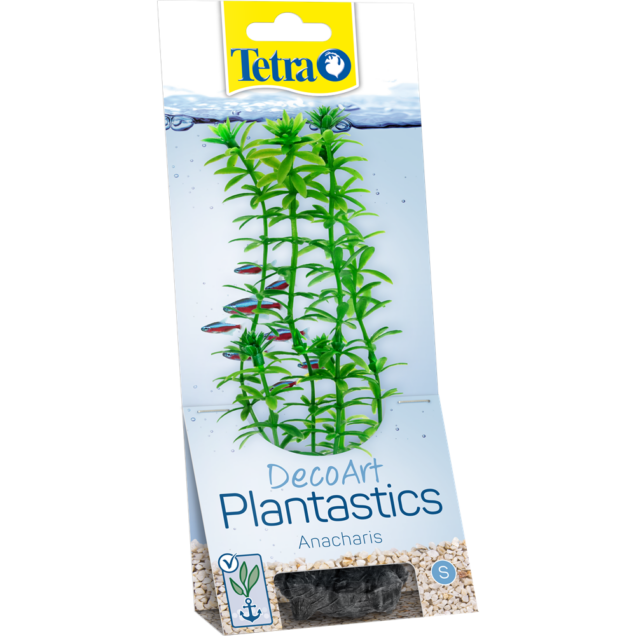 Tetra Anacharis S - Image 1