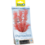 Tetra biljka Red Foxtail