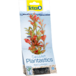 Tetra biljka Red Ludwigia
