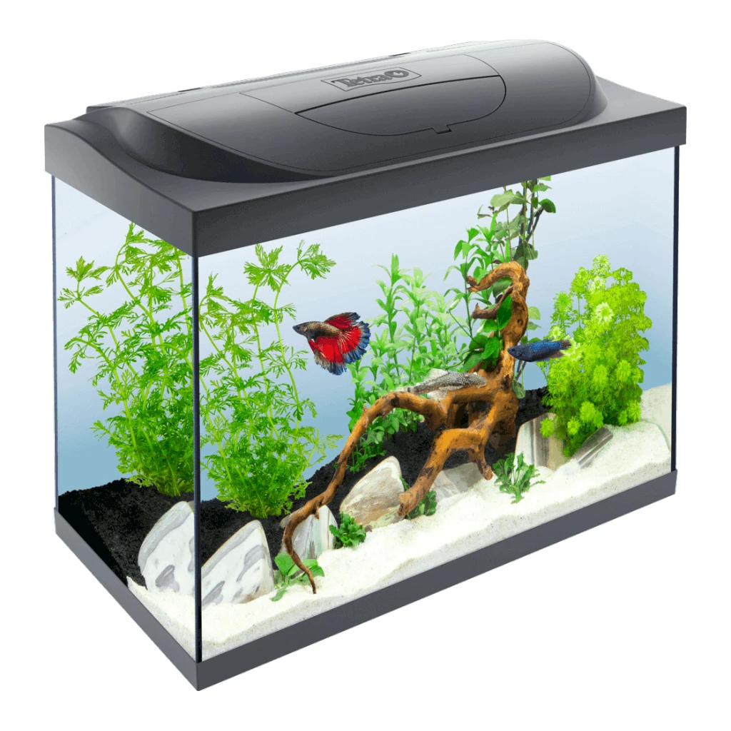 Tetra Starter Line LED Akvarij 80L Tetra Starter Line LED Akvarij 80L