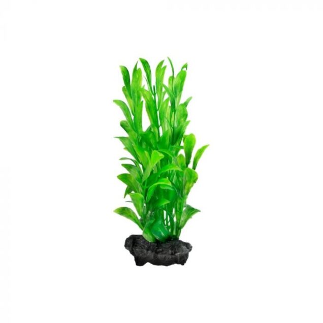 Tetra Hygrophila S - Image 2