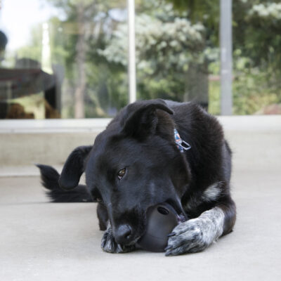 KONG Extreme lopta S veličina