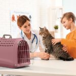 Transportni box Linus - Image 4