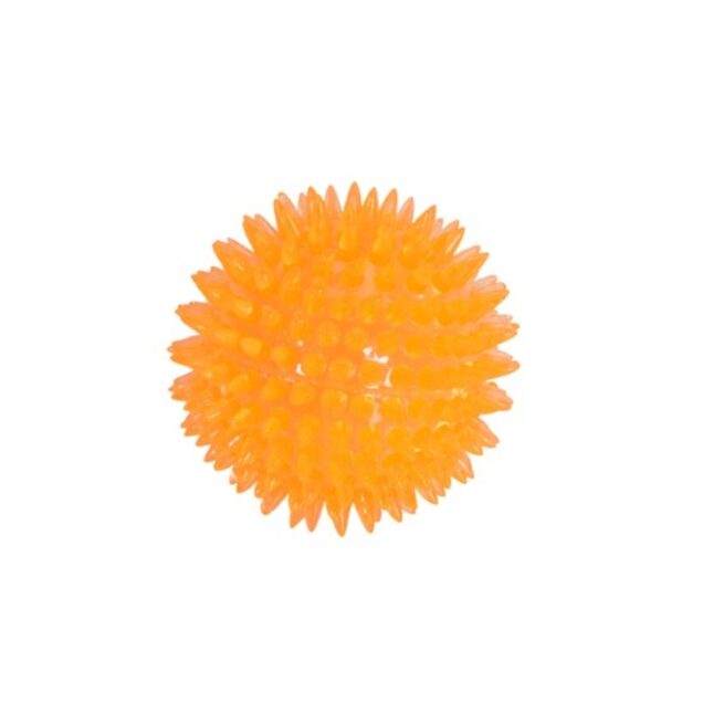 AD070 Igračka za psa - Image 2
