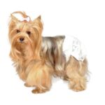 B044 Jednokratne pelene za pse - Image 2