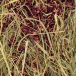 Vitapol Vita Herbal sijeno s laticama ruže 800g - Image 2