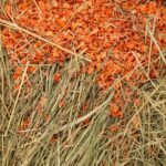 Vitapol Vita Herbal sijeno sa mrkvom 800g - Image 2