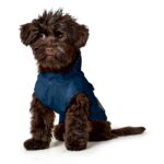 Hunter plava kabanica za pse - Image 4