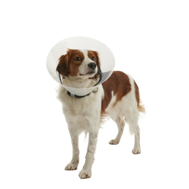 BUSTER Clic ovratnik - Image 1