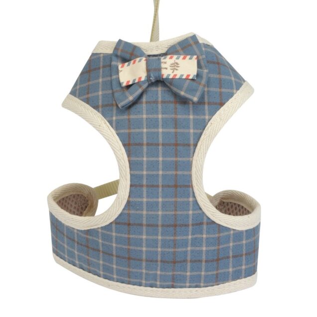 DC0029 Set prsnik i povodac s mašnicom “Scottish blue” - Image 1