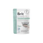 Brit URINARY & STRESS RELIEF CAT Pouch, 85 g