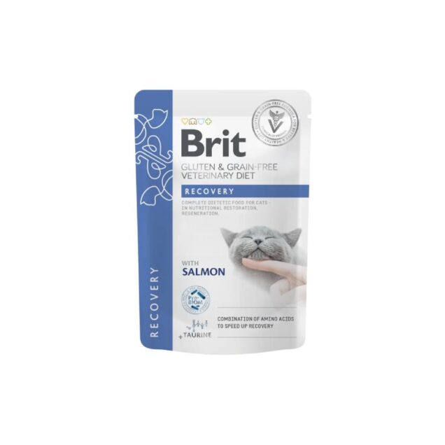 Brit Recovery, losos 85 g - Image 1