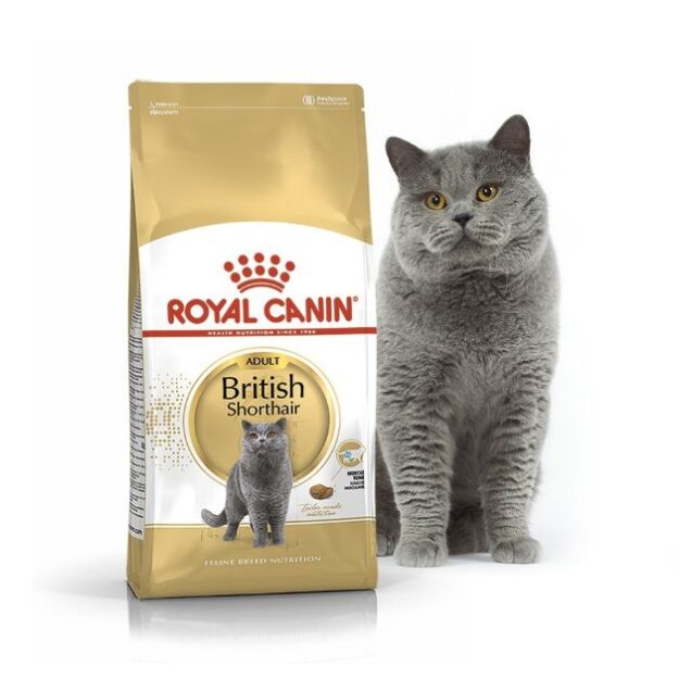Royal Canin British Shorthair, 2 kg - Image 1