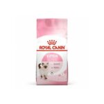 Royal canin Kitten