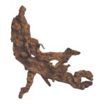 H-004 Drvo Mopani, M veličina