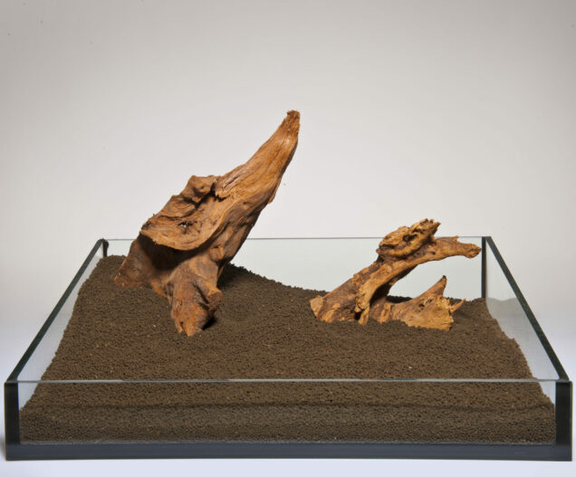 H 009 Mangrova, natural - Image 1