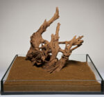 H 011 Mangrova, brušena čelikom, L veličina