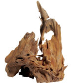 H 011 Mangrova, brušena čelikom, L veličina - Image 2