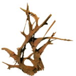 H 017 Mangrova XXL, pjeskarena 160 cm