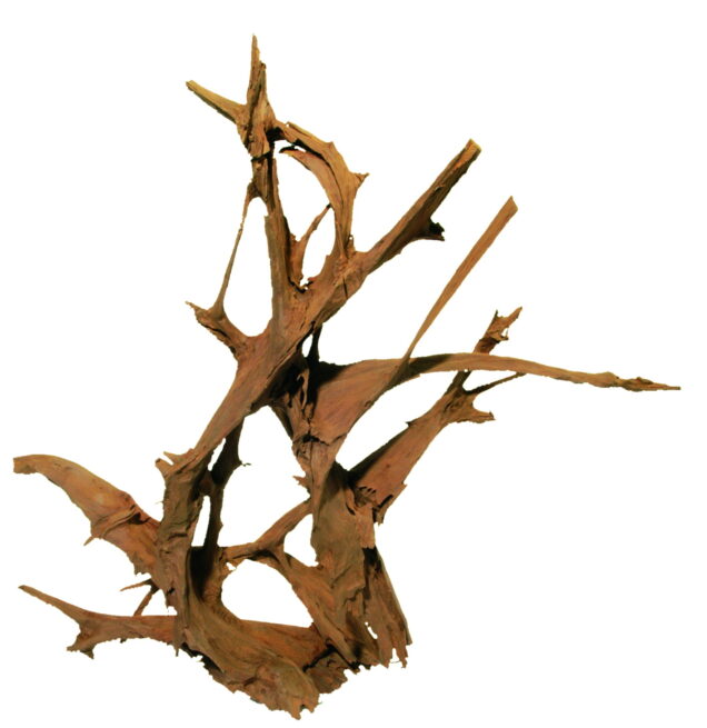 H 017 Mangrova XXL, pjeskarena 160 cm - Image 1