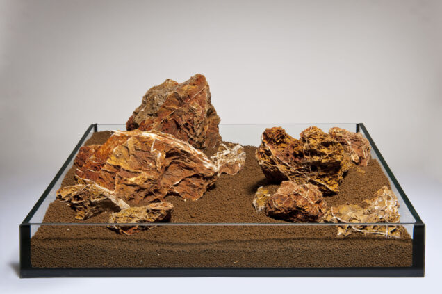 PS 049 Maple Leaf kamen - Image 1