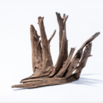 PH 018-XL Corbo korijen