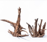 PH 018-XL Corbo korijen - Image 2