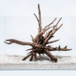 PH 019 Corbo panj, L veličina