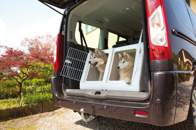 Imac transportni box Dog3 - Image 3