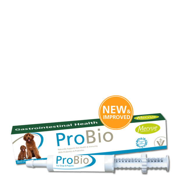 Probio pasta za pse i štence, 30ml - Image 1