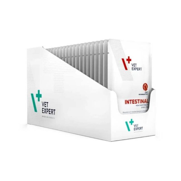 Vetexpert Intestinal Cat, hrana za mačke 100g - Image 1