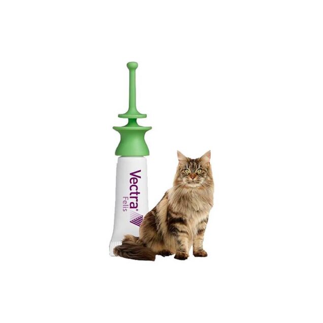 VECTRA Felis Tretman i prevencija infestacije mačaka buhama