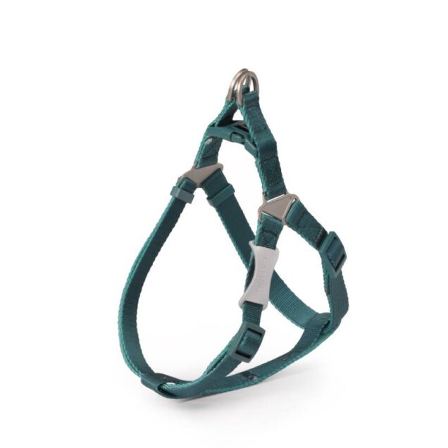Podesivi uprtač “Bicolor” line – aqua green