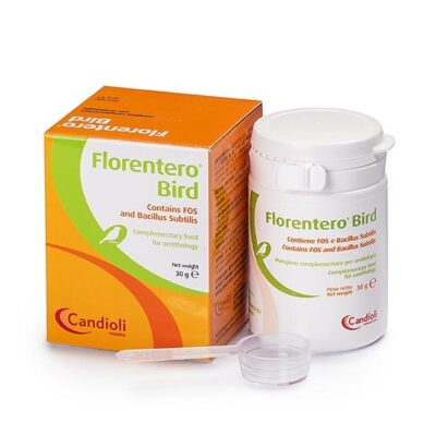 Candioli Florentero Bird za ptice