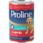 Proline komadići janjetine u umaku