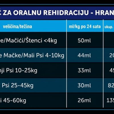 Oralade Advanced GI+ 500 ml